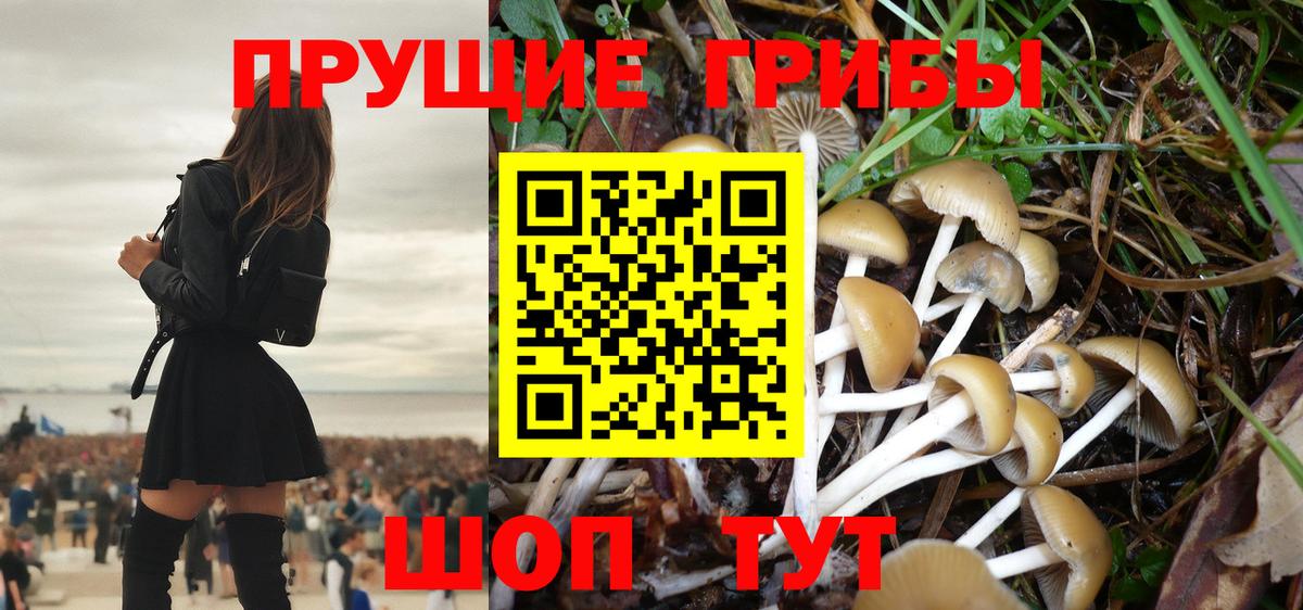 Псилоцибиновые грибы Magic Shrooms  Вход с VPN  Хабаровск 